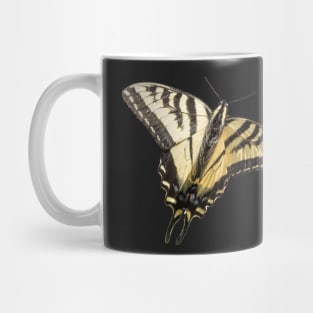 Western Tiger Swallowtail Butterfly Sticker Mug